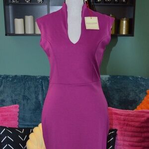Women's Rolla Coster Fushia Dress